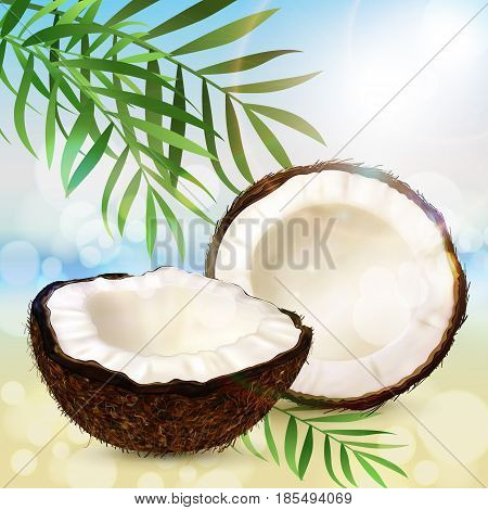 Realistic coconut two halves of coco and palm leaves on a sunny summer beach background. Vector.