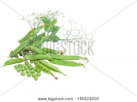 Fresh green peas shelled from the pods several pods and pea branch with leaves pods and tendrils on a light background