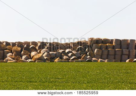 Haystack in middle of the field prepared animal fodder on a farm. Agriculture mass production livestock breeding concept with copy space.