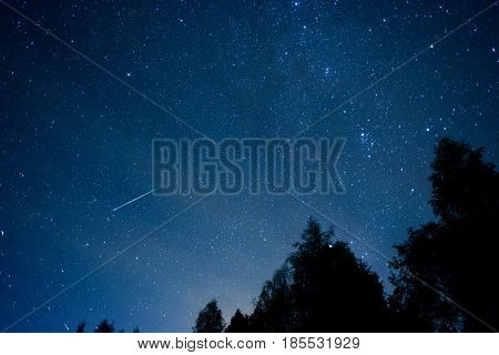 Perseid Meteor Shower in 2016, pine trees in the foreground.