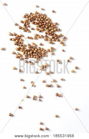 Spices for meat dishes and baking. Whole coriander seeds. White background. isolated