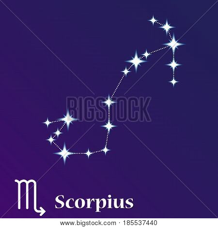 Scorpius Zodiacal Constellation Vector Illustration, Horoscope Symbol, Sign Of The Zodiac