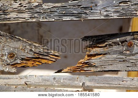 Texture In Spain   Brown Window