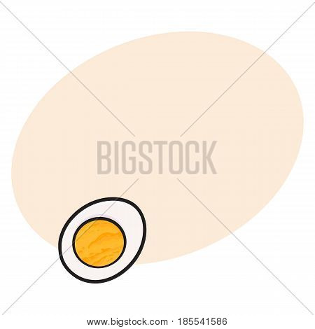 Boiled chicken egg cut in half, sketch style vector illustration with space for text. Hand drawn, sketched illustration, half of hard boiled chicken egg