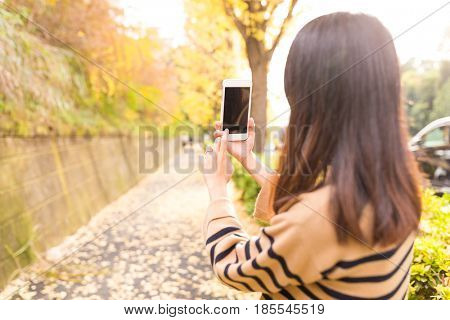 Woman taking photo with cellphone on the autuman landscape