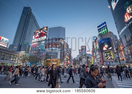 TOKYO JAPAN - MARCH 30 2017 : people waiting for cross the road on pedestrians crosswalk at Shibuya district in Tokyo Japan. Shibuya Crossing is one of the busiest crosswalks in the world.