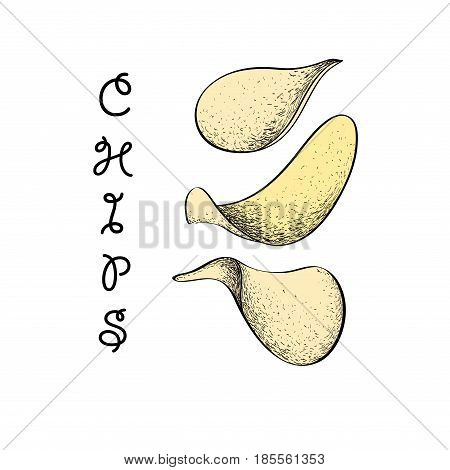 Chips vector illustration. Isolated hand drawn chips on a white background. Chips engraved style illustrations. Great for labels poster print