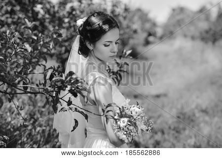 Young Beautiful Blonde Woman In Blooming Garden. Bride.