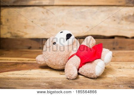 Teddy Bear Wood Background,alone ,baby ,background ,bear ,beautiful, birthday ,brown ,child ,childhood ,concept ,design, floo,r gift lonely,love
