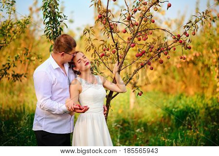 The Bride And Groom Are Kissing In The Apple Orchard, Standing Under The Branches Of An Apple-tree
