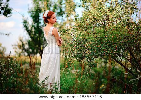 Young Beautiful Blonde Woman In Blooming Garden. Bride.
