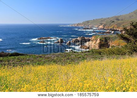 Monterey County
