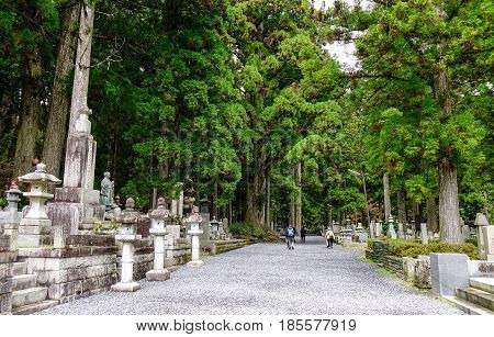 Landscape Of Mount Koya In Kansai, Japan
