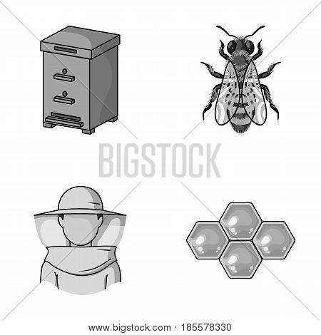 The bee, the bee-keeper in the mask, the honeycomb of the honey.Apiary set collection icons in monochrome style vector symbol stock illustration .