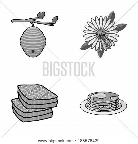 A hive on a branch, a bee on a flower, a honeycomb with honey, a honey cake.Apiary set collection icons in monochrome style vector symbol stock illustration .