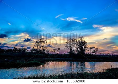 Reflections Of Sunset Silhouette In The Cypress Swamp