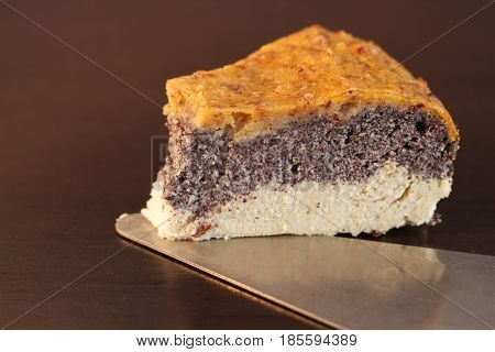 Photo of homemade poppy seed cake made from paleo and vegetarian friendly ingredients. Healthy snack without added sugar gluten and milk.
