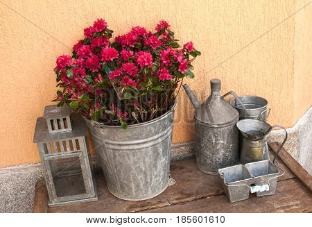 Old tinned zinc plated pots and bucket of red flowers on old wooden table next to house facade
