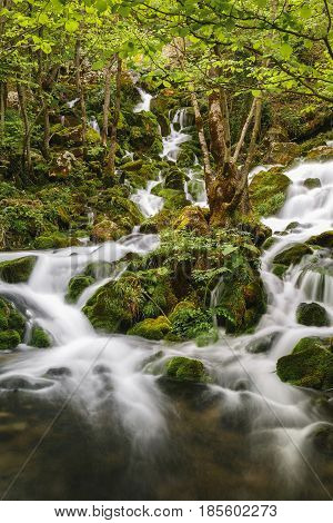 Mountain river landscape. Moss covered stones in an river during springtime, travel destination, Grza, Paracin, Serbia