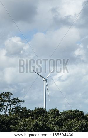 Wind turbine on woods