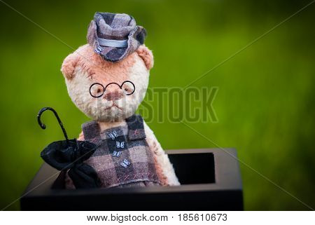 Little teddy bear with cute hat and umbrella