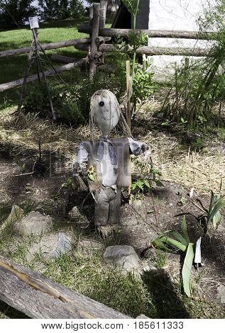 Close up vertical of a whimsical scarecrow in a dried out garden in Notre Dame de Ile Perrot, Quebec on a sunny day in June.