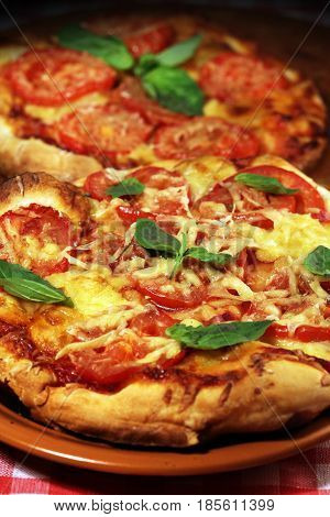 Italian Food Pizza Margarita