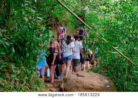 MANOA FALLS, HAWAII - FEBRUARY 20, 2016: An overwhelming crowd of people on the trail to Manoa Falls in Oahu Hawaii.