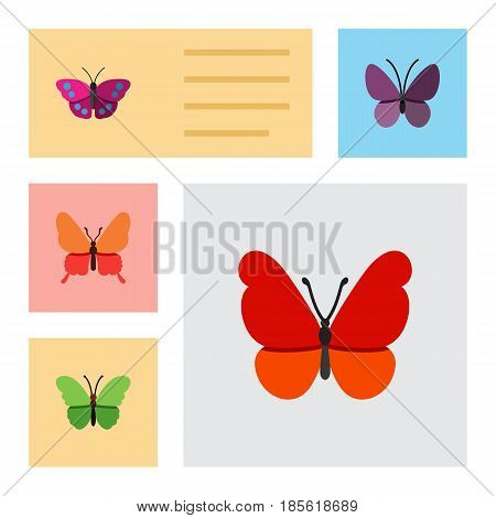 Flat Moth Set Of Violet Wing, Danaus Plexippus, Milkweed And Other Vector Objects. Also Includes Archippus, Insect, Moth Elements.