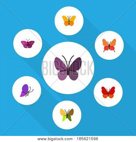 Flat Moth Set Of Violet Wing, Summer Insect, Beauty Fly And Other Vector Objects. Also Includes Monarch, Archippus, Moth Elements.