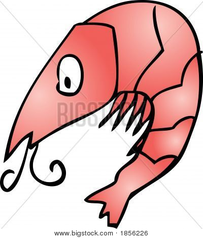 귀여운 새우