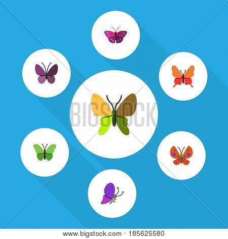 Flat Moth Set Of Summer Insect, Beauty Fly, Archippus And Other Vector Objects. Also Includes Archippus, Milkweed, Insect Elements.