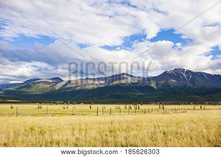 Kurai Steppe. Mountain Altai Nature. Summer Landscape. Russia