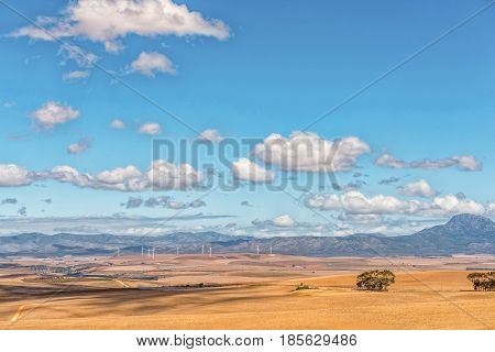 A view from the Middelplaas Road accross farm landscape with a wind-farm in the distance near Caledon in the Western Cape Province of South Africa