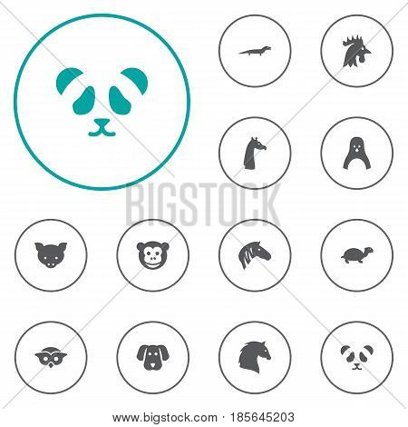 Set Of 12 Beast Icons Set.Collection Of Bear, Gecko, Tortoise And Other Elements.