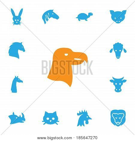 Set Of 13 Alive Icons Set.Collection Of Wildcat, Rhinoceros, Tortoise And Other Elements.
