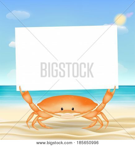 sea crab with white paper on a sea sand beach