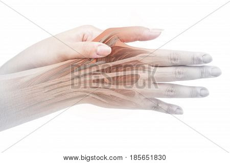 finger muscle pain white background finger injury