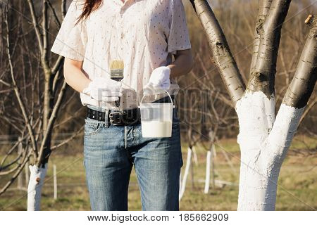 Spring protection of fruit trees in the garden soft focus background