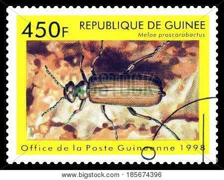 STAVROPOL RUSSIA - April 30 2017: a stamp printed in Guinea (Republique de Guinee) shows Beetle Meloe proscarabactus series beetle circa 1998