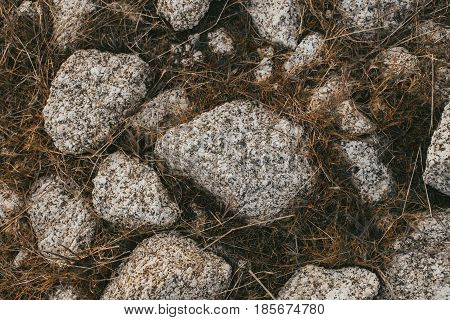 Old stones in grass background. Close up view of old road stones. Abstract texture and background for designers. Rocks and grass texture. Old road background.