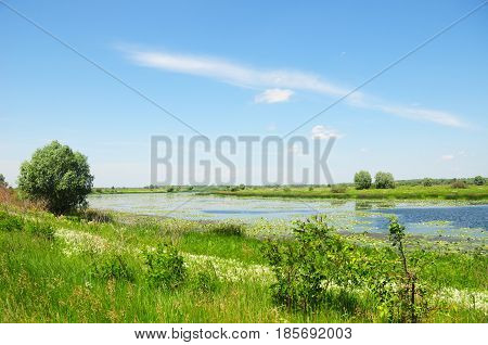 Colorful Lake View. Beautiful Lake view in Northen Ukraine - Polesia Polesie or Polesye.