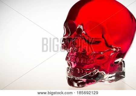 Red crystal skull red glass brainpan with white background detail
