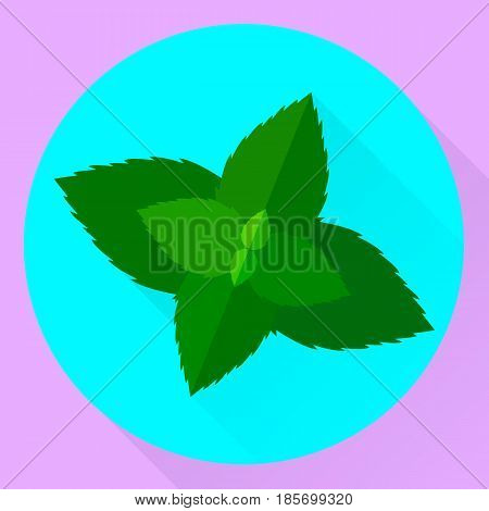 vector flat icon mint leaves green blue