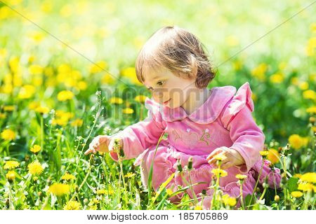 little girl in a pink dress is looking at a dandelion in a green clearing with yellow dandelions