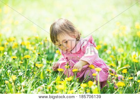Girl in pink dress with dandelion on green grass