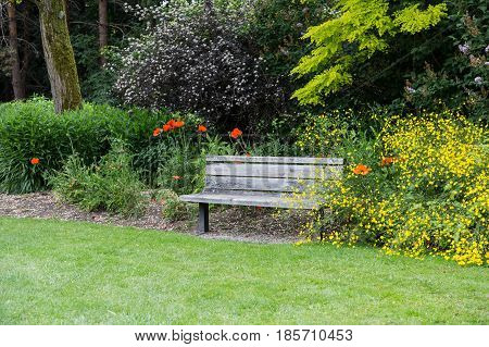 An Old Wooden Bench in a Public Garden