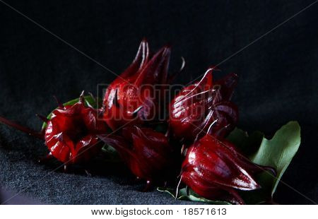 Roselle