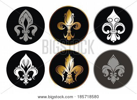 Set of Royal lily .Royal lily collection