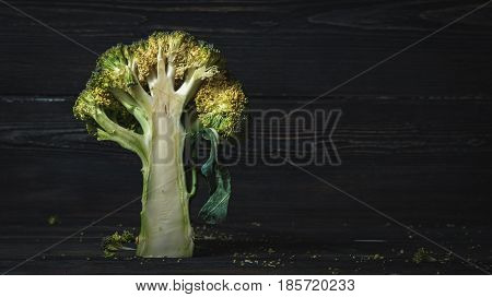 healthy bunch of broccoli on dark boards